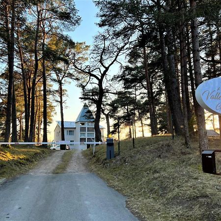 Vallery Guest House Bigauņciems 外观 照片